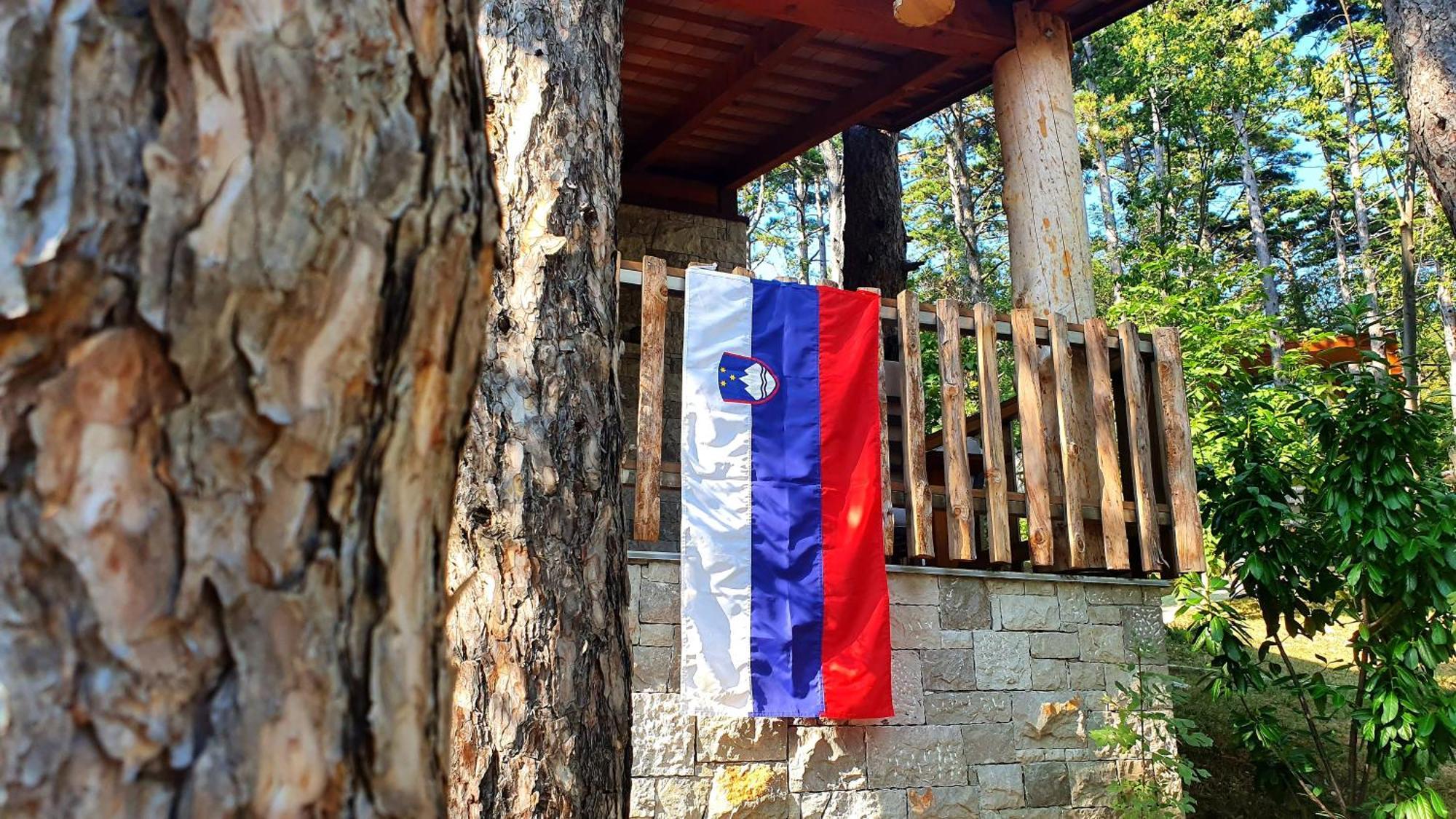 Theodosius Forest Village - Glamping In Vipava Valley Exterior foto