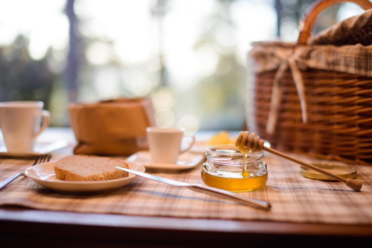 Theodosius Forest Village - Glamping In Vipava Valley Exterior foto